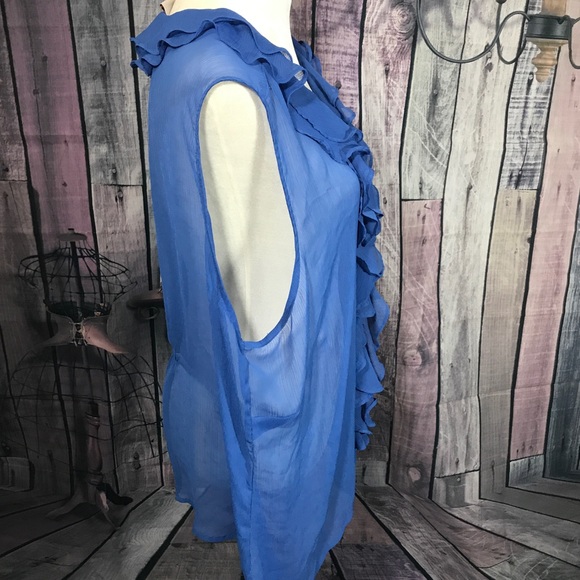 Sheer top - Picture 3 of 5